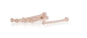 Wick for spirit lamp