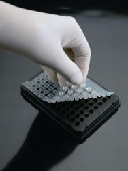 PCR plate lezáró takaró B típusú plate-hez