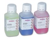 Buffer solution pH = 10 (20 °C), blue color, 250 ml