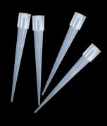 Beckmann, 5-1.000 µl, 1.000 db/csomag
