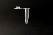 Eppendorfcső, 0,5 ml, PP, 1.000 db/csom.